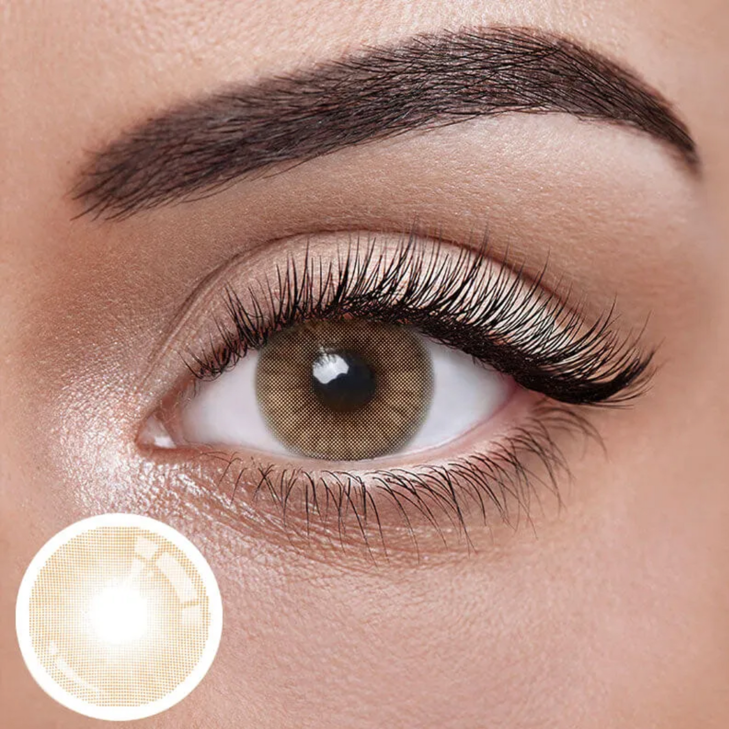 Lentilles de Contact Germanic Green